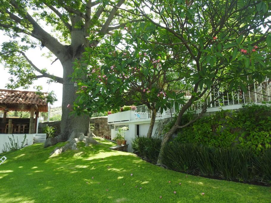 Habitacion Independiente A Pie Del Lago Con Ac Tequesquitengo Eksteriør bilde
